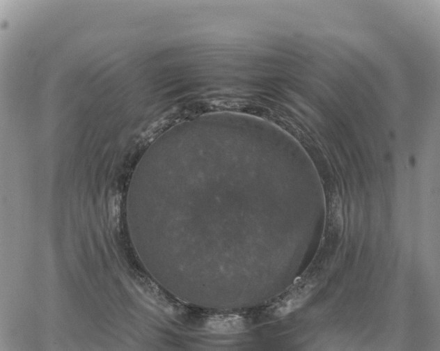 X0000064770271200602171832