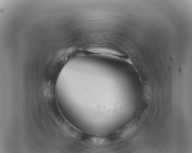 X0000064770272200602171832