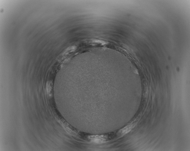 X0000064770273200602171832