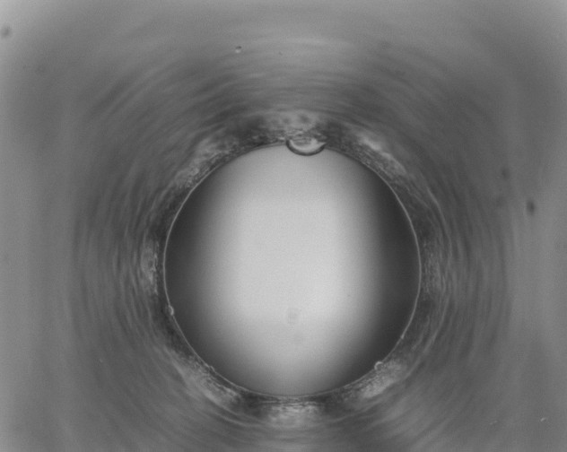 X0000064770274200602171832