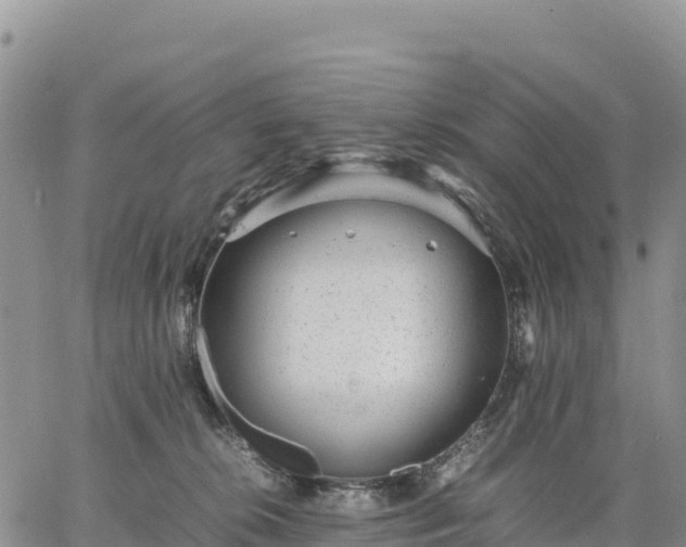 X0000064770276200602171832