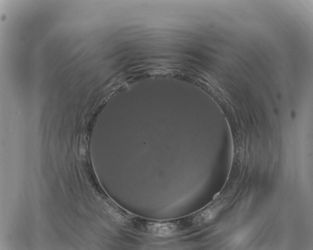 X0000064770277200602171832