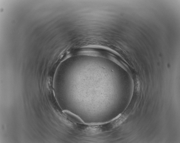 X0000064770280200602171832