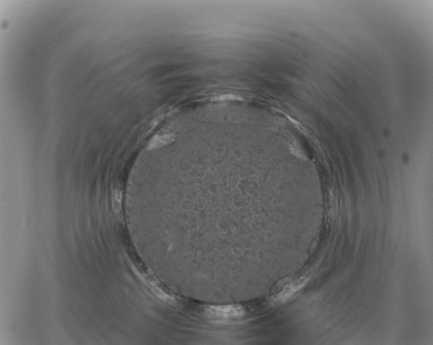 X0000064770281200602171832