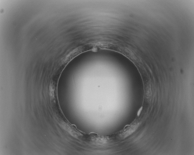 X0000064770282200602171832