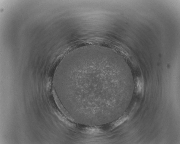 X0000064770284200602171832