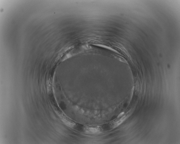 X0000064770285200602171832