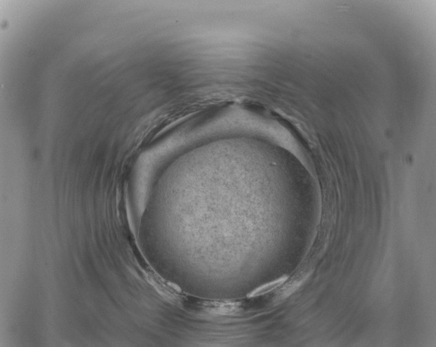 X0000064770288200602171832