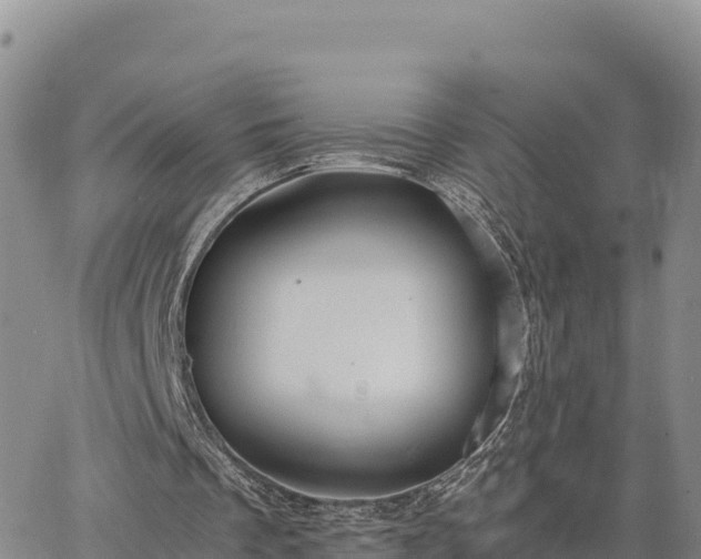 X0000064770289200602171832