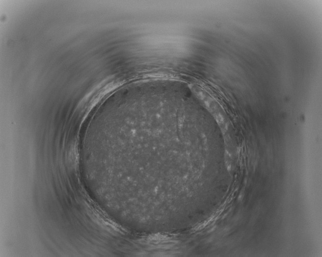 X0000064770290200602171832