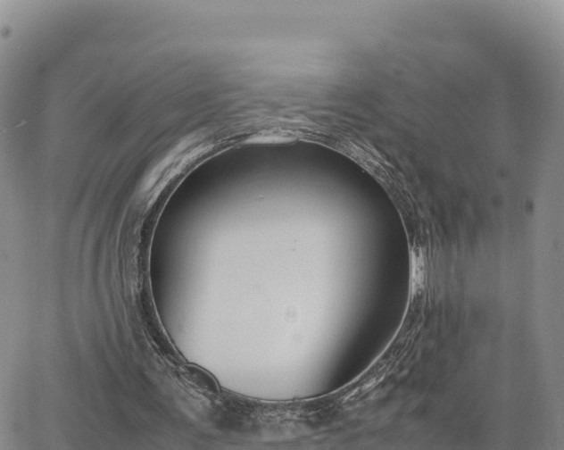 X0000064770291200602171832