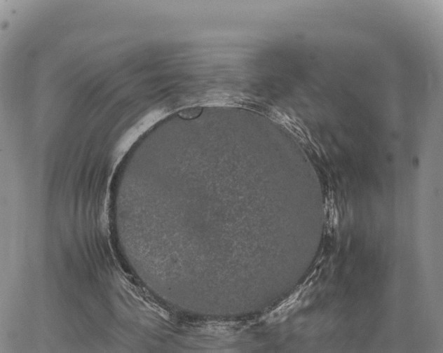 X0000064770292200602171832