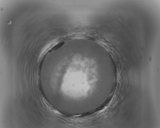 X0000064770293200602171832