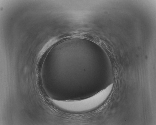 X0000064770295200602171831