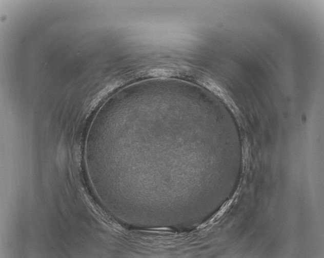 X0000064770297200602171831