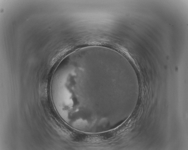 X0000064770299200602171831