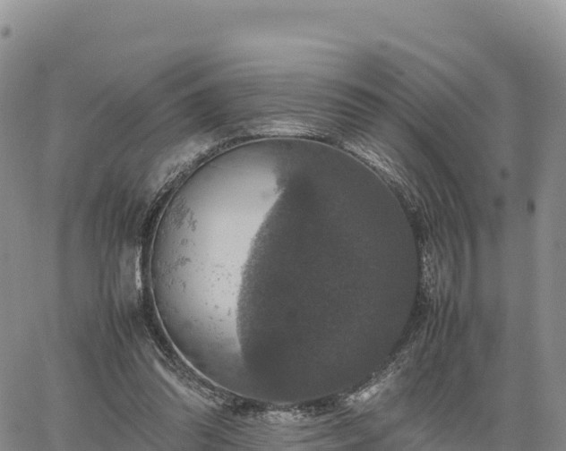 X0000064770302200602171831