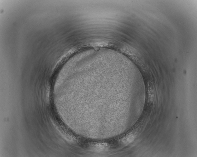 X0000064770304200602171831