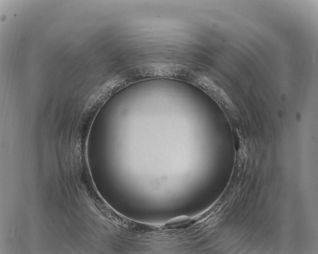 X0000064770306200602171831