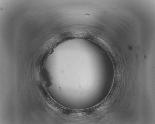 X0000064770307200602171831