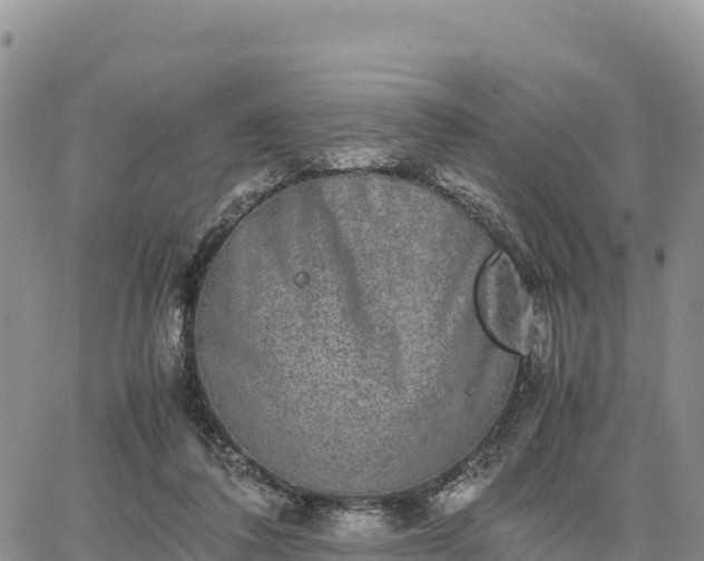 X0000064770308200602171831