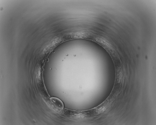 X0000064770310200602171831