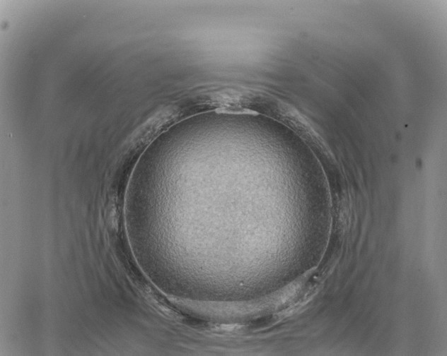 X0000064770313200602171831