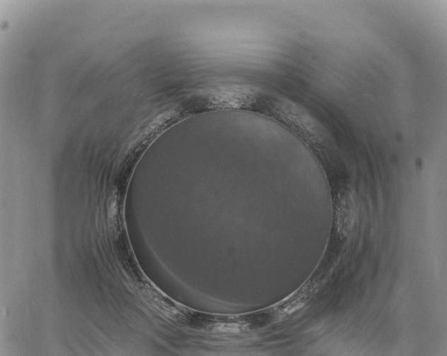 X0000064770314200602171831