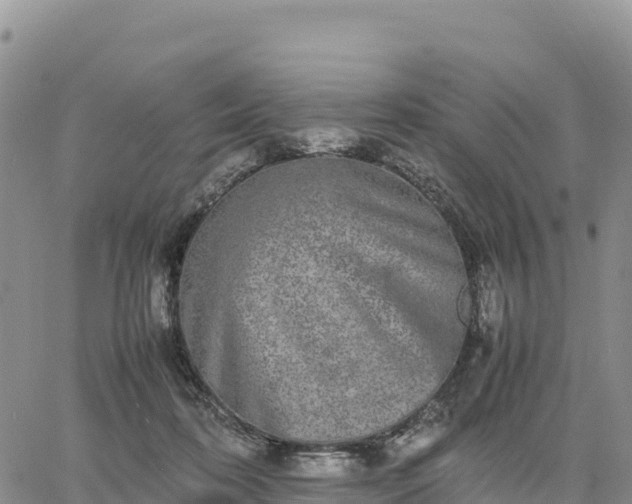 X0000064770316200602171831