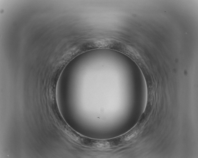 X0000064770317200602171831