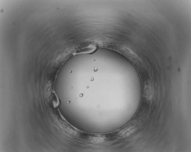 X0000064770318200602171831