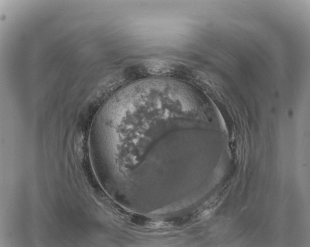 X0000064770319200602171831