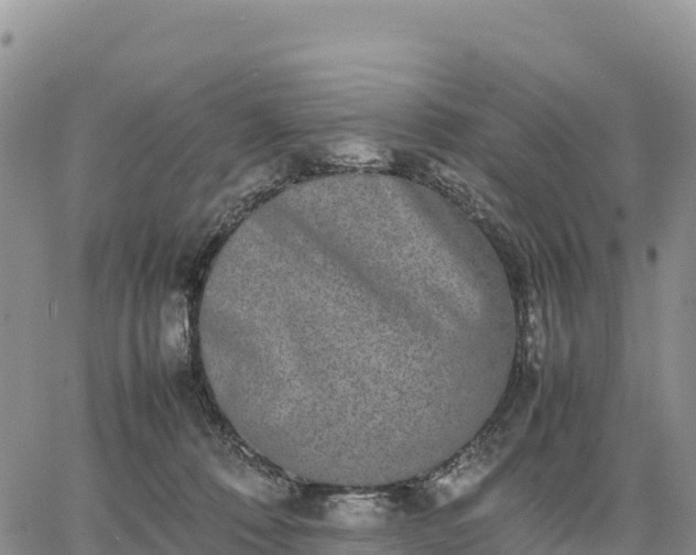 X0000064770320200602171831