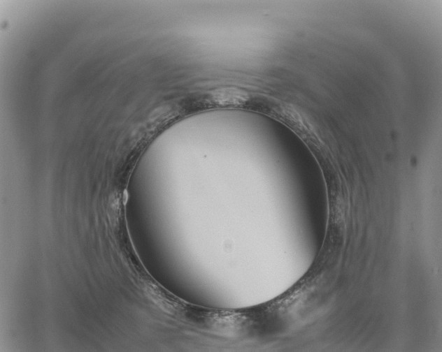 X0000064770321200602171831