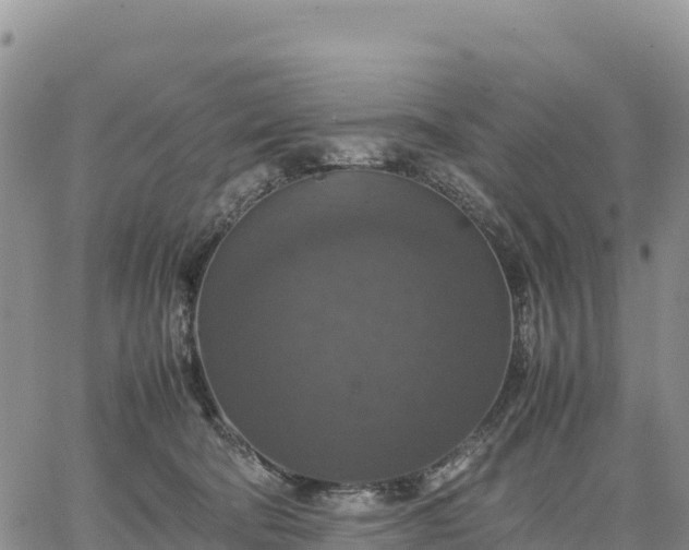 X0000064770322200602171831