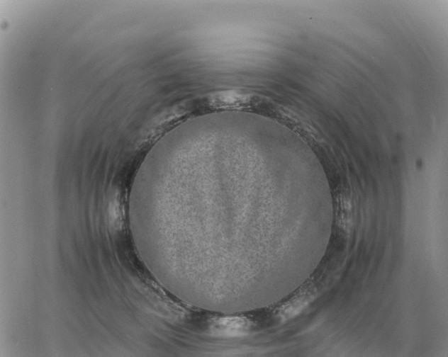 X0000064770324200602171831