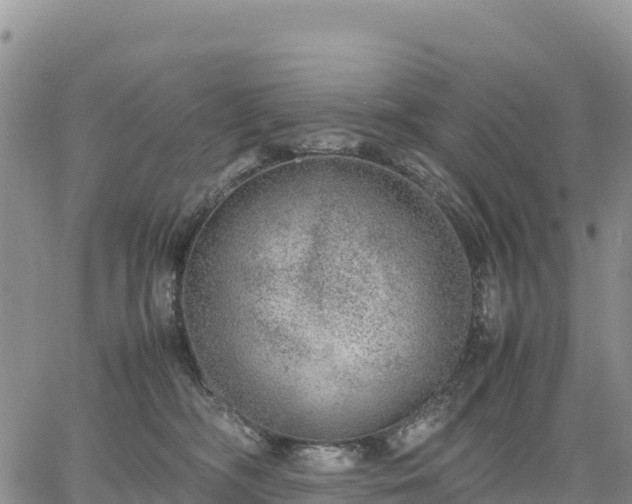 X0000064770326200602171831