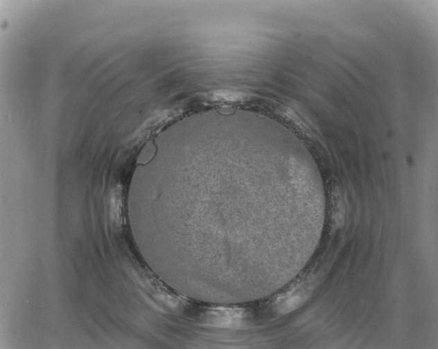 X0000064770328200602171831