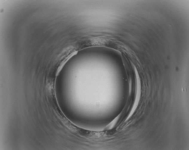 X0000064770329200602171831