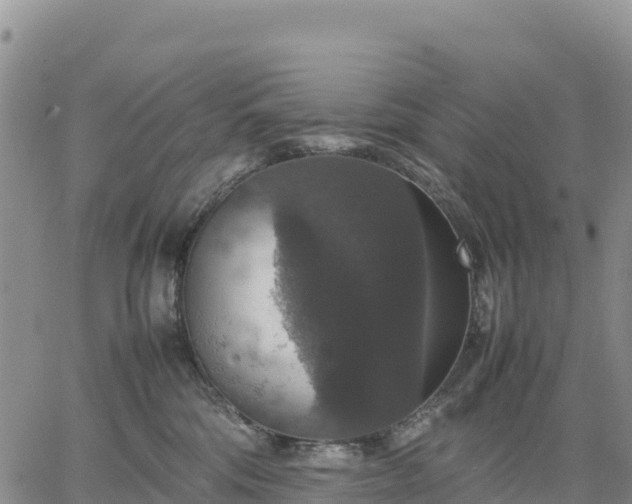 X0000064770330200602171831