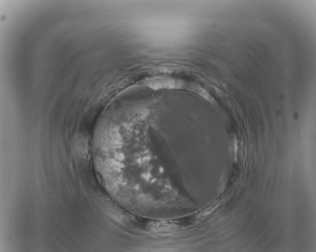 X0000064770331200602171831