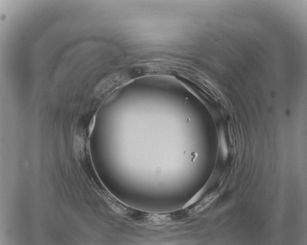 X0000064770333200602171831