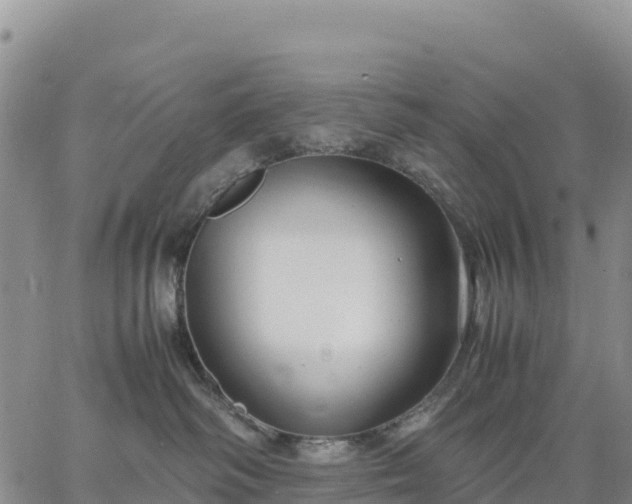 X0000064770334200602171831