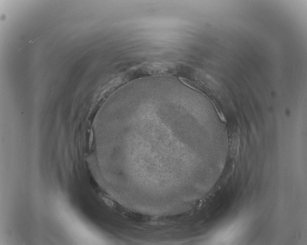 X0000064770335200602171831