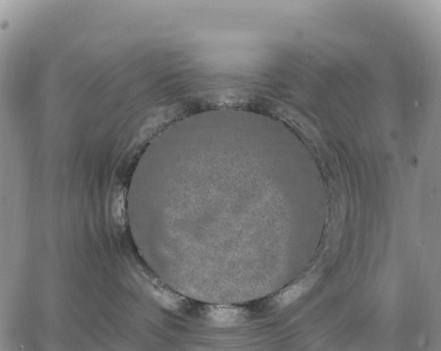 X0000064770336200602171831