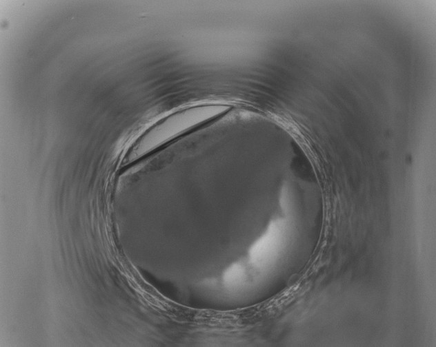 X0000064770337200602171830