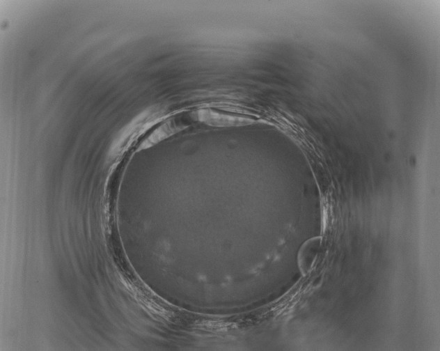 X0000064770339200602171830