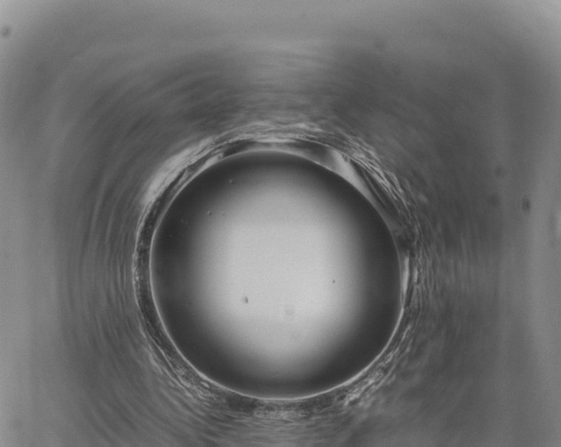 X0000064770340200602171830