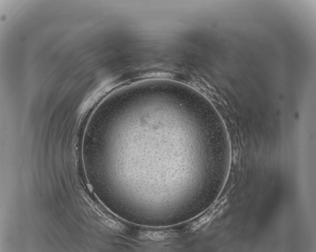 X0000064770341200602171830