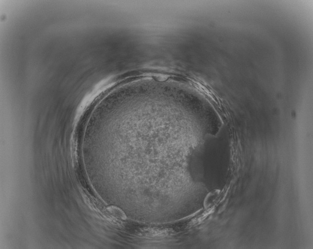 X0000064770343200602171830